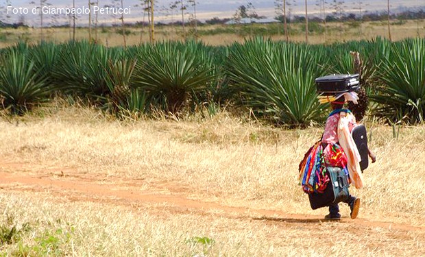 «La terra è sacra e non è in vendita». A Nairobi, la Chiesa cattolica sfida il land grabbing